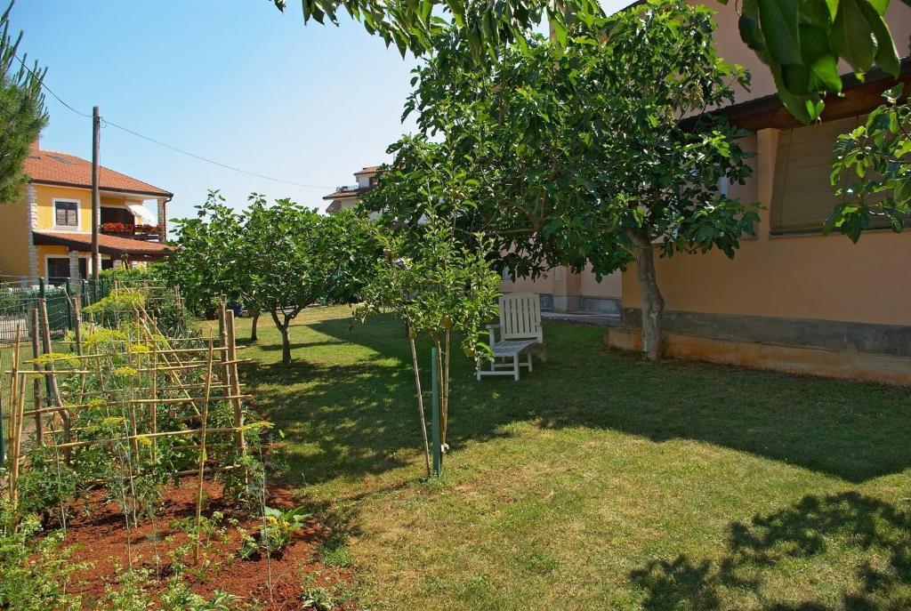 Apartments & Rooms Barbara Umago Esterno foto